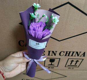 \[vt[ ~ju[P ͂Ȃ tOX ԑ o J[l[V 1   Ό v[g Mtg ̓ a 蕨 LO o^C ސEj ʉ 