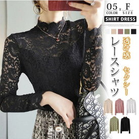 インターシャツ 透け感 Tシャツ ブラウス レース レディース ハイネック インナー ボトルネック レディース トップス 長袖 セクシー 新作 送料無料 新生活 半袖追加