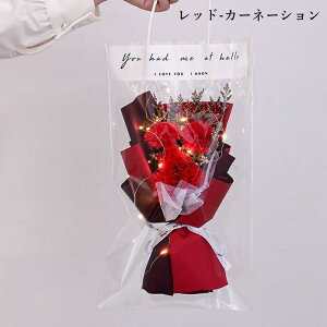 \[vt[ ͂Ȃ [Y  J[l[V  Ό ԑ  Mtg v[g Vzj  j  o^C ސEj ʉ JXj LO 