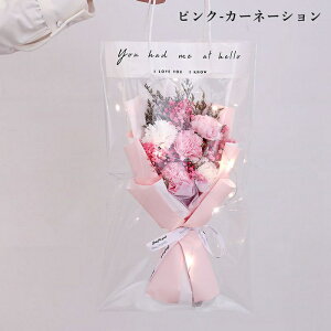 \[vt[ ͂Ȃ [Y  J[l[V  Ό ԑ  Mtg v[g Vzj  j  o^C ސEj ʉ JXj LO 