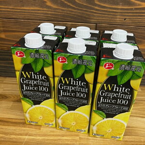 y(ꑗ1000~EkC500~)zF{JA zCgO[vt[cW[X ZkҌʏ`100 1000ml×6{iLbvtpbN) White Grapefruit Juice