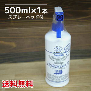 yzpXg[[77@Xv[wbht500ml×1{AR[77 h[o[𑢊ЁkC500~Eꌧ1000~ʓr܂