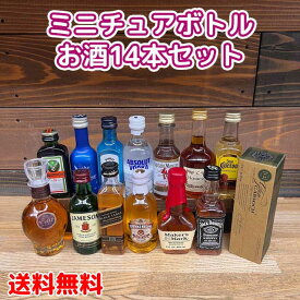 【送料無料】ミニチュアボトル50ml(20ml)お楽しみ14本セット ウイスキー・ウオッカ・ジン・ブランデー・テキーラ・ラム・リキユール・お酒・ミニボトル※北海道・沖縄県650円別途送料がかかります。