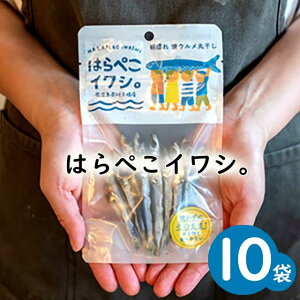 ylR|X Esz͂؂CVB25g×10Zbg/FjX ECV  vY