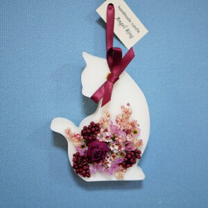 TVF L neko lR CAT ˂ A}TVF {^jJTVF LhTVF LG G zakka yY v[g Mtg  XN vA WX~[Y a LOi P