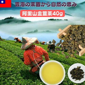 R@钃40g@{p pRG 40g y[֑zpY p@Hi@pY@ف@pyY@p pՁ@p yY  G t 