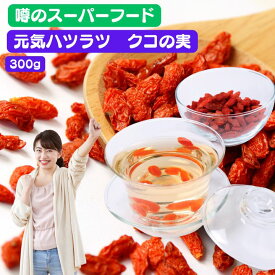 クコの実 300g 中国産 ゴジベリー 枸杞子 毎日の習慣 薬膳食材 スーパーフード 業務用 コスパ抜群 薬膳茶 ヨーグルト トッピング 枸杞子 薬膳食材 スーパーフード 薬膳茶 スープ