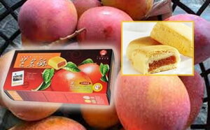 12@㕟@p }S[P[L 12i8j 㕟䊉Ɓ@ yz֑z