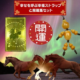 台湾開運お守り人形 幸福ちゃん（シンフーちゃん）＋飛躍馬ゴールドカードプレートセット　金運・健康運・恋愛運｜財布に入る 開運御守り ギフト　【送料無料メール便発送】 台湾お土産　台湾おみやげ　台湾物産館　台湾名物　台湾雑貨