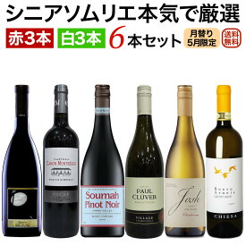 ソムリエ厳選セット 月替り「ちょっと贅沢ワイン」世界各国飲み比べ 赤・白6本セット(赤3本、白3本）5月セレクト 【送料無料】【ワインセット】 ワイン 詰め合わせ 飲み比べセット セットワイン