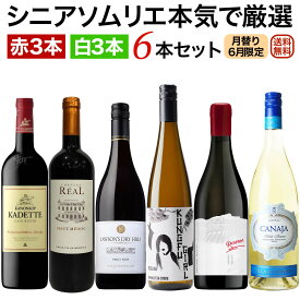 ソムリエ厳選セット 月替り「ちょっと贅沢ワイン」世界各国飲み比べ 赤・白6本セット(赤3本、白3本）6月セレクト 【送料無料】【ワインセット】 ワイン 詰め合わせ 飲み比べセット セットワイン