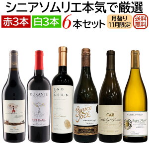 \GIZbg ւuґ򃏃CvEeݔ ԁE6{Zbg(3{A3{j11ZNg yzyCZbgz