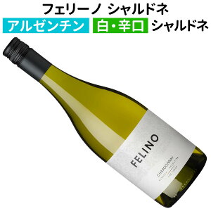 yA[`CzyCztF[m Vhl 2023 B[jER{Xmhn