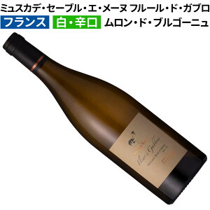 ytXCzyCz~XJfEZ[uEGE[k V[E[ t[EhEKu 2022 h[kEhEEgD[EKXmhn