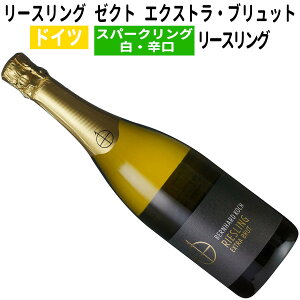 yhCcCzyXp[NOCz[XO [Ng GNXgEubg 2022 xngERbzmhn{lƁuc}v|郏C Xp[N