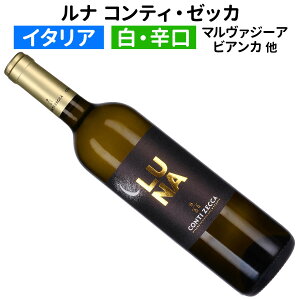 yC^ACzyCzi 2023 ReBE[bJ[h]