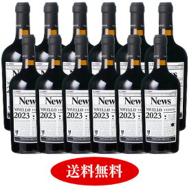 船便！ファンティーニ（ファルネーゼ） ヴィーノ・ノヴェッロ 2023 12本セット【新酒ワイン】【赤ワインセット】【送料無料】 ワイン イタリア