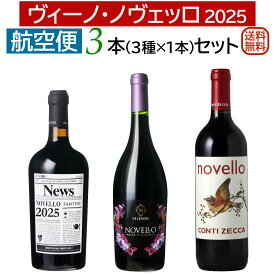 航空便！ヴィーノ・ノヴェッロ 2025 3本セット10月30日解禁しました！【送料無料】【新酒ワイン】【赤ワインセット】