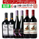 【予約販売】船便！ヴィーノ・ノヴェッロ 2025 6本セット (3種×2本・航空便ゼッカ入り)2026年1月中旬以降のお届けになります【送料無料】【新酒ワイン】【赤ワインセット】