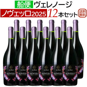 y\̔zDցIFm[W B[mEmFb 2025 12{Zbg2026N1{ȍ~̂͂ɂȂ܂yVCzyԃCZbgzyz