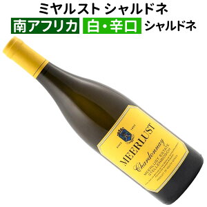 yAtJCzyCz~Xg Vhl 2023[h]