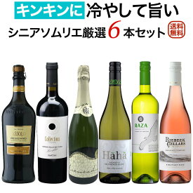 キンキンに冷やして旨い シニアソムリエ厳選6本セット【送料無料】【ワインセット】 ワイン 飲み比べセット