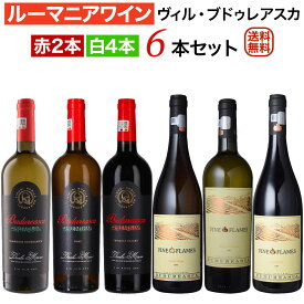 ルーマニアワイン・ヴィル・ブドゥレアスカ6本セット 赤2本・白4本【送料無料】【ワインセット】 ワイン 飲み比べセット