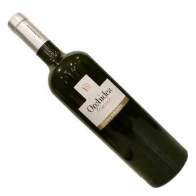 【スペインワイン】【白ワイン】オルキデア・キュヴェ　2019　ボデガ　イヌリエータ　［辛口］
