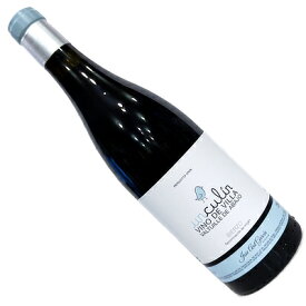 【スペインワイン】【赤ワイン】ウンクリン ティント 2020 ホセ・アントニオ・ガルシア[フルボディー]