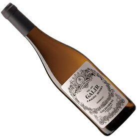 【スペインワイン】【白ワイン】ヴァル・ド・ガリル ゴデーリョ 2022 ヴィルヘン・デル・ガリル［辛口］