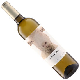 【スペインワイン】【白ワイン】オベハ ブランカ 2022 ボデガス・イ・ビニェードス・フォンタナ［辛口］