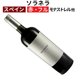 yXyCCzyԃCz\l 2021 {fKXEJX^[jmt{fB[n