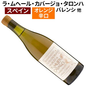 yXyCCzyIWCzEw[EJo[WE^n 2020 tBLZECEVAmhn