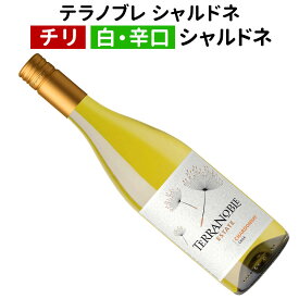 【チリワイン】【白ワイン】テラノブレ　シャルドネ　2023［辛口］