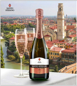 Xp[NO santo stefano Mtg TgXet@m A sN ݂₷ Xp[NOCMtg C`S x[  t[ av[g  蕨 a LO v[g 