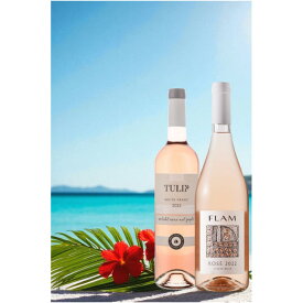 日本全国でここでしか買えないお得なギフトワインです！イスラエルワイン ロゼ2022 プレミアム級ワイン ワインギフト ロゼワイン プレゼント ギフト 希少ワイン ライトボディ カベルネフラン カベルネソーヴィニヨン お酒好き ワイン好き イスラエル直輸入 女性 夏ワイン