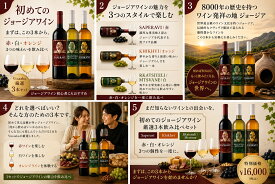 ジョージアワイン 3本セット 赤 白 オレンジワイン 飲み比べ 初心者 おすすめ サペラヴィ ヒフヴィ ルカツィテリ ムツヴァネ 750ml×3本 厳選セット 迷ったらこれ！初めてのジョージアワイン