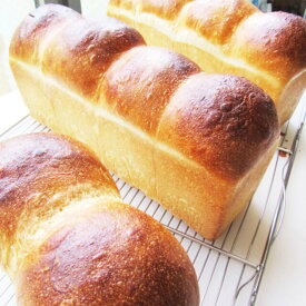 パン・リシェ/食パン /国産小麦/天然酵母/2斤で1セット/パン/フランス生地