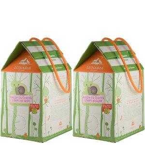 �y2�܂Ƃߔ����z���i�[���A �s�m�E�O���[�W�� 3L �o�b�N�C���{�b�N�X �C�^���A