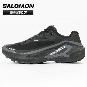 �T������ SALOMON �X�j�[�J�[ �����Y �W�F�l�V�X �S�A�e�b�N�X GENESIS 2 GTX �g���C�������j���O�V���[�Y �W���M���O �g������ �����j���O �A�E�g�h�A �C GORE-TEX �h�� 2026�N�H�~ �V�� �u���b�N L4930