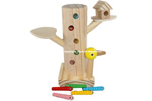 �����e�b�\�[���@���������Q�[���@Montessori Game of Catching Insects �m��ߋ�