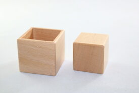 モンテッソーリ　キューブとカップ Montessori Cube with Cup　知育玩具