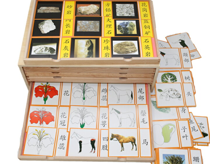 楽天市場】モンテッソーリ 葉のたんす ♪5段 格安版♪ Montessori 