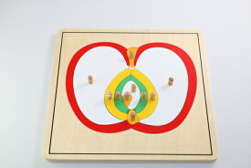 モンテッソーリ　りんごパズル Montessori Apple Puzzle 知育玩具