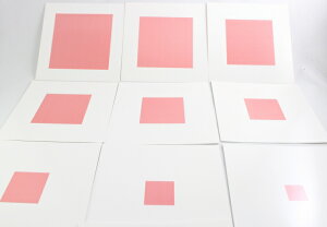 �����e�b�\�[���@�s���N�^���[�̃R���g���[���E�`���[�g�@Montessori Pink Tower Control Chart�@�m��ߋ�