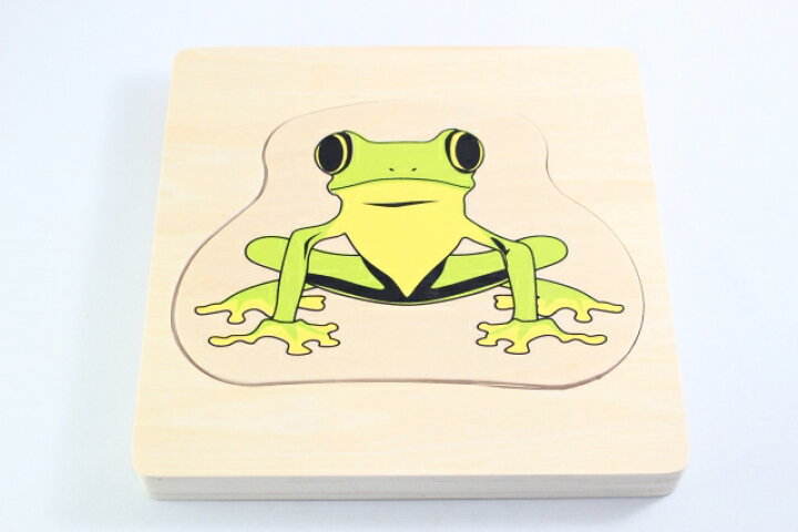 楽天市場 モンテッソーリ カエルの一生 パズル Montessori Life Cycle Of Frog Puzzle 知育玩具 バイオリンjp