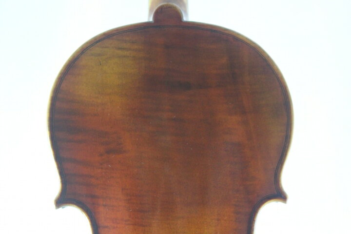 楽天市場】シュタイナー ライオン・ヘッド バイオリン 4/4 Jacob  