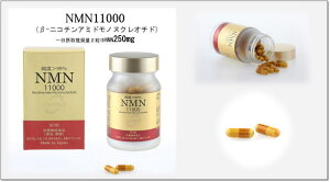 NMN11000 (-jR`A~hmkNI`h)eʁF30.60g(1d340mgke280mgl×90)