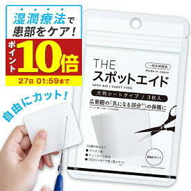 【P10倍】ニキビ にきび ニキビケア ハイドロコロイド CICA配合 傷 湿潤療法 薬用 日本製 THE スポットエイド シート ニキビパッチ cica シカ 武内製薬 SPOT AID 3 敏感肌 低刺激 吹き出物 肌荒れ 肌トラブル 絆創膏 送料無料