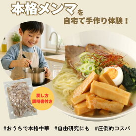 乾燥メンマ 極太 80g 1000円ポッキリ 送料無料 お試し 戻し方説明書付き レシピ付き 体験セット ラーメン 具 無添加 業務用 めんま 手作り 親子体験 大人の 自由研究 自宅で作る 自家製 完全発酵